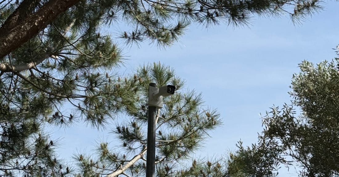 buitencamera onopvallend geplaatst in boom voor terreinbeveiliging.